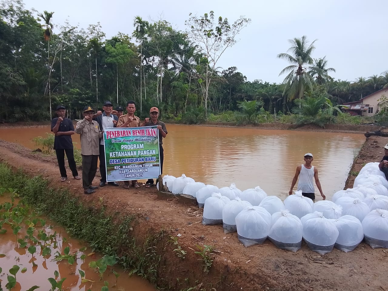 Ketahanan Pangan Dana Desa Petiduran Baru 2025 : “Budidaya Ikan Nila”